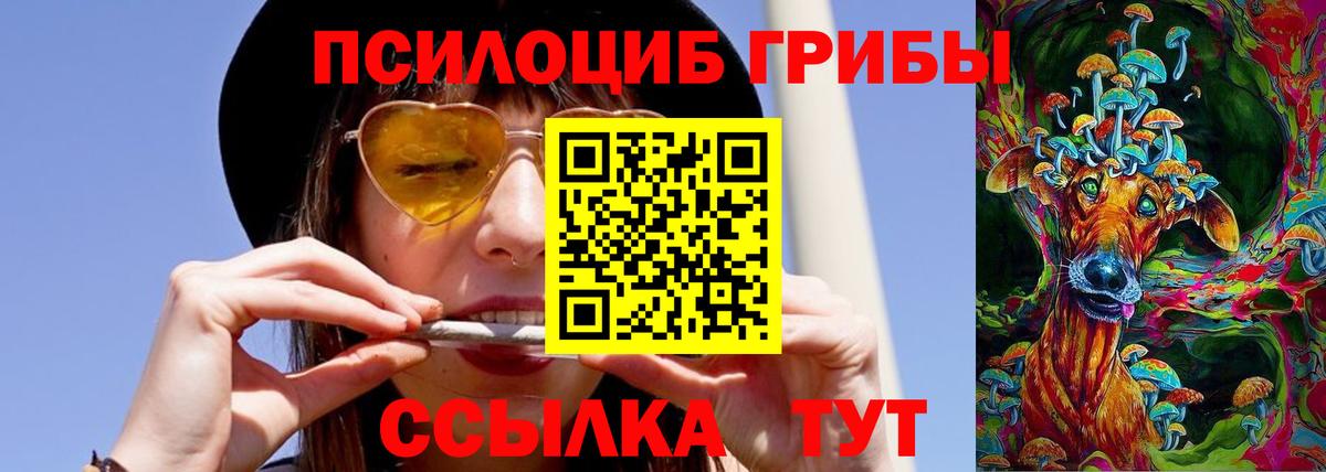 Волжск  Псилоцибиновые грибы прущие грибы  что такое   Вход с VPN 